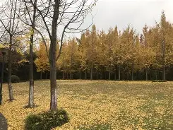 凯发网站 -冝売砑{蠡]N兴q?sZf%CZ	鬦[?G(dianzantoubi密)